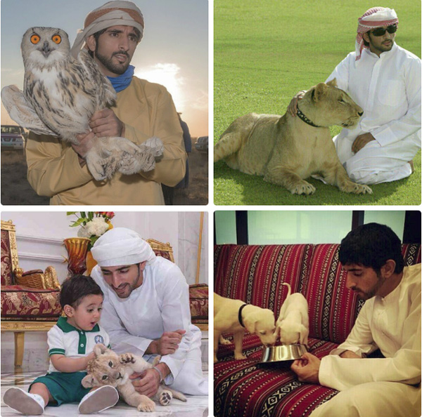 Điều ít biết về Thái tử Dubai, người đàn ông cực phẩm độc thân khiến hàng triệu cô gái không ngừng khao khát-4