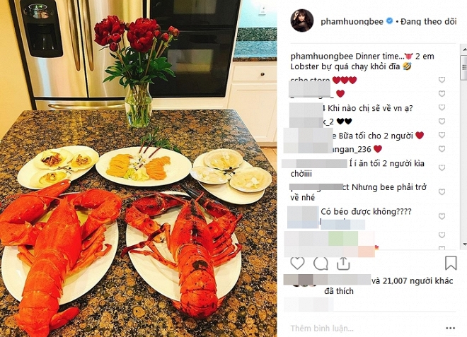 Cuộc sống ở Mỹ có điều gì hấp dẫn khiến Phạm Hương phải tuyên bố bỏ mặc hào quang?-5