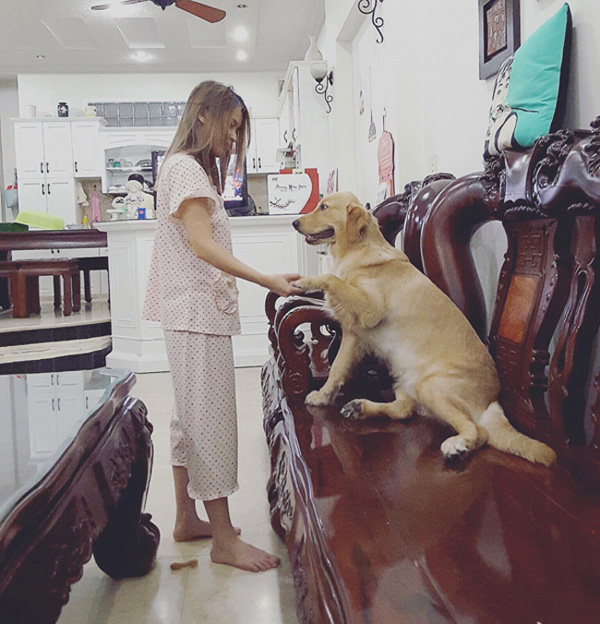 Cơ ngơi ở quê của Văn Anh và nhà Sài Gòn khác nhau một trời một vực-5