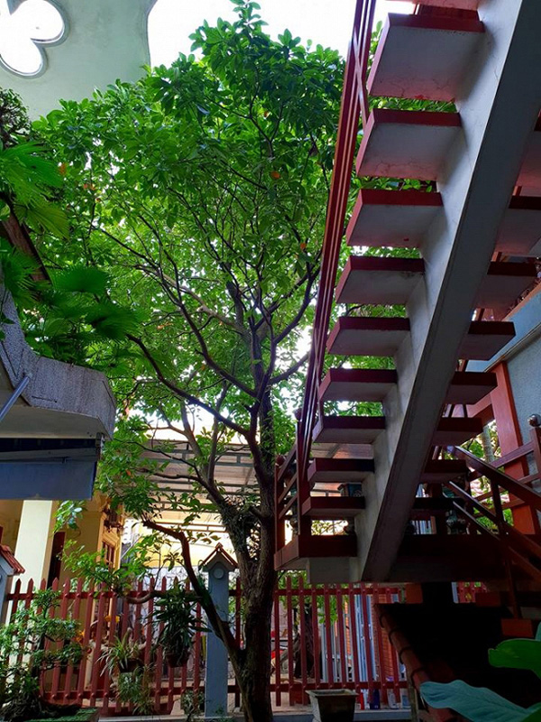 Cơ ngơi ở quê của Văn Anh và nhà Sài Gòn khác nhau một trời một vực-9