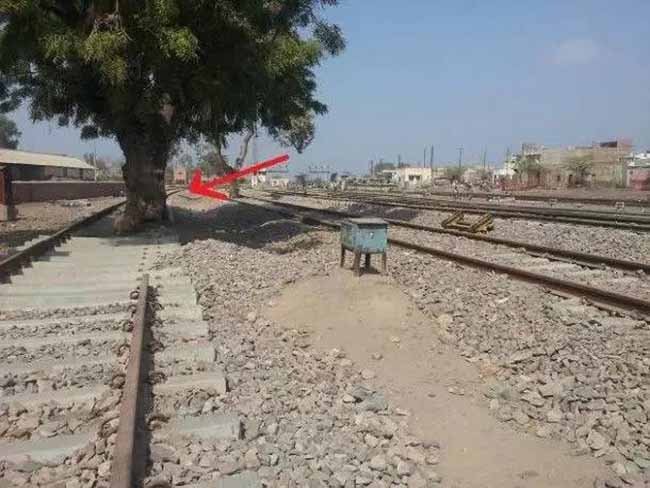 20 điều khiến du khách sốc tột cùng khi đến Ấn Độ-6