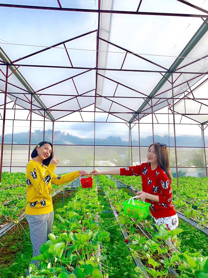 Được fan khuyên dành cả đời để đền đáp cho Minh Triệu, Kỳ Duyên trả lời đầy bất ngờ-5