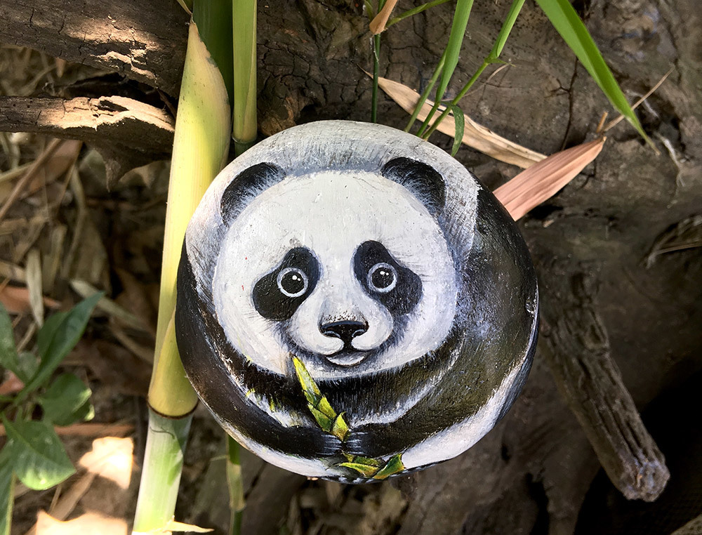 Hòn đá cuội hiện hình Phật: Vàng ròng của 9x Hải Phòng-13