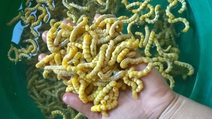 Đặc sản ông khen, bà thích giá 4 triệu/kg được chị em truy lùng-1