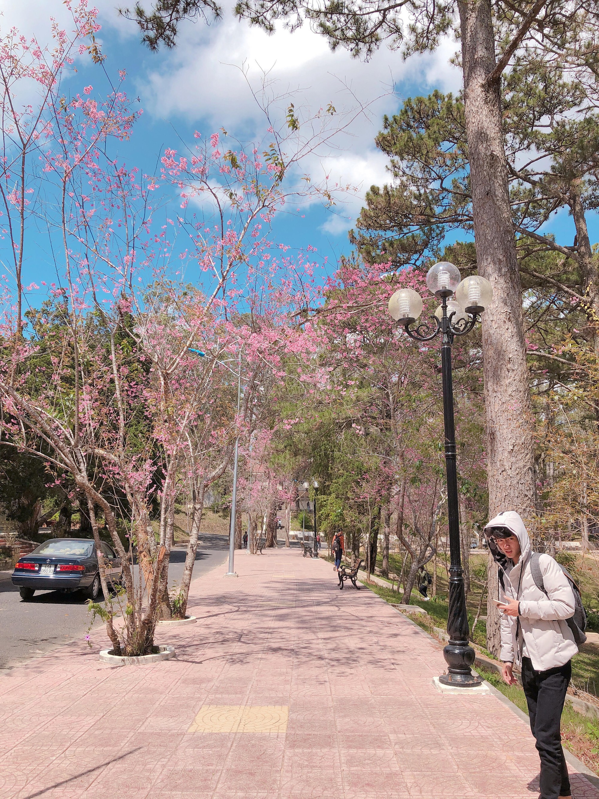 Phát hiện ra một ngôi trường ở Việt Nam đẹp đến mê hồn, lên hình không chê vào đâu được-4