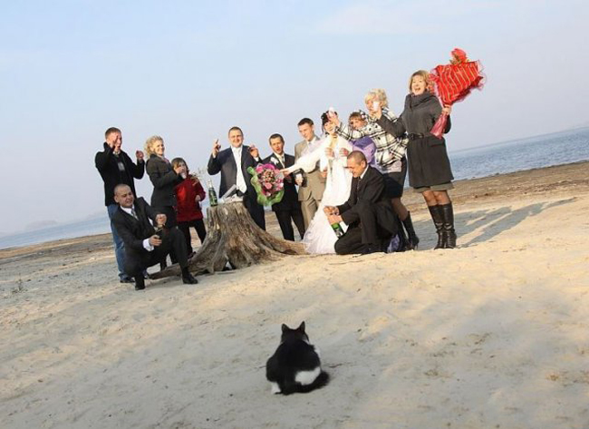 Những bức ảnh cưới để đời của cô dâu chú rể-8