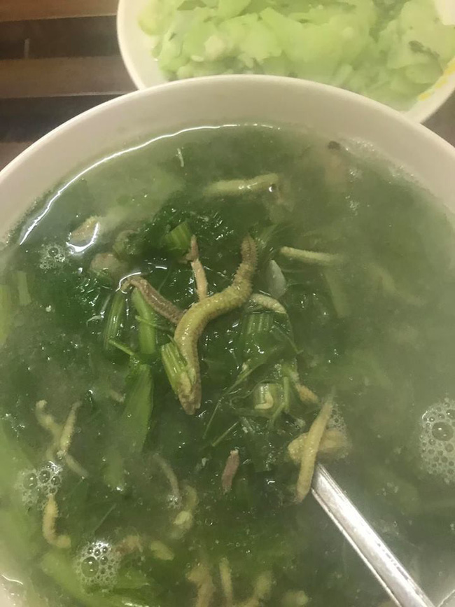 Khoe món đặc sản yêu thích, cô gái trẻ khiến dân tình sợ hãi vì thứ được đem ra nấu canh-4