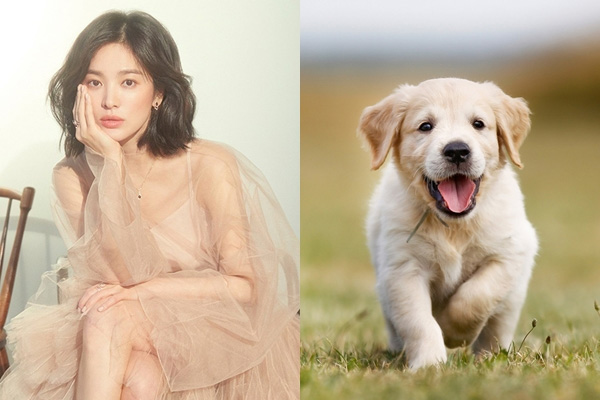 4 con giáp TÀI VẬN BÙNG NỔ, ĐẾM TIỀN MỎI TAY trong tháng 3/2019-2