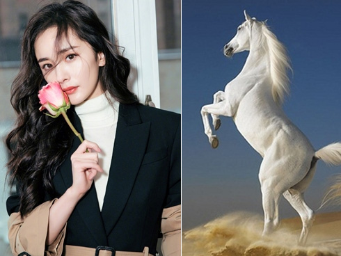 Vạch trần nhược điểm chí mạng của 12 con giáp khi yêu: Bảo sao đời đàn bà mãi khổ-3