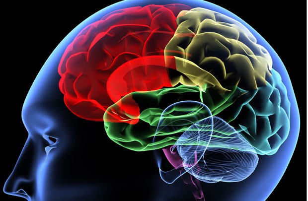 Dịch tả lợn châu Phi bùng phát ở Việt Nam: Tuy không lây bệnh trực tiếp ở người nhưng vẫn gián tiếp gây bệnh theo cách này-3