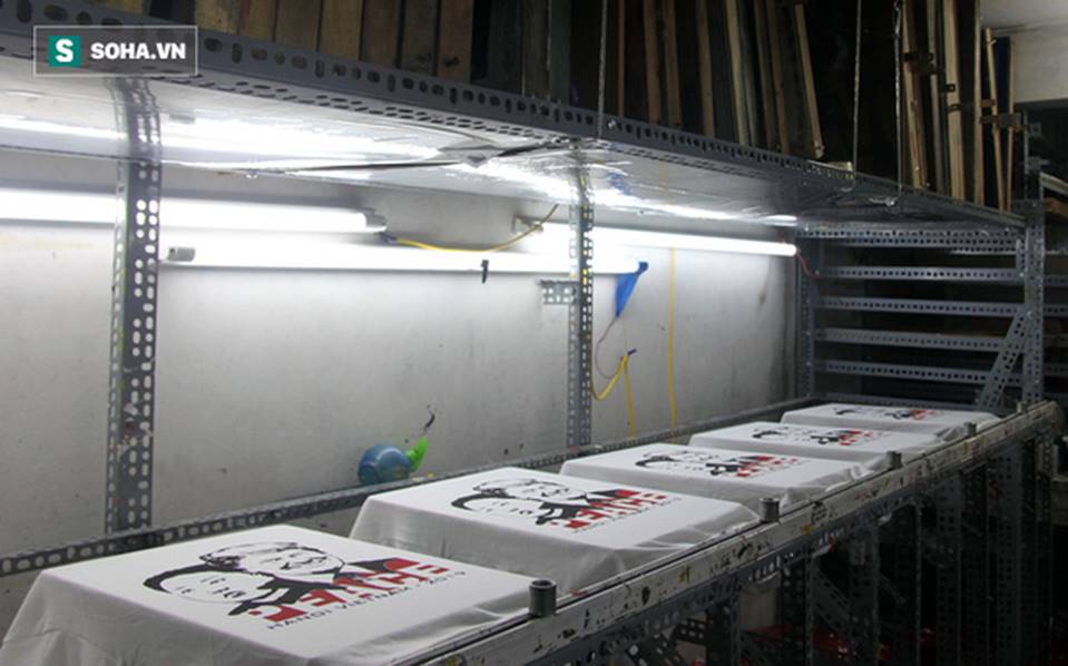 Kiếm chục triệu mỗi ngày nhờ bán áo in hình Donald Trump - Kim Jong Un-14