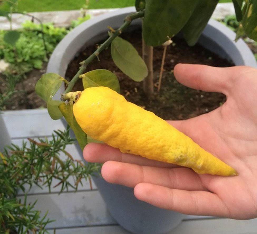 Những khoảnh khắc trùng hợp bất ngờ ngàn năm mới có một, phải may mắn hơn cả trúng số độc đắc bạn mới có thể chụp lại được-12