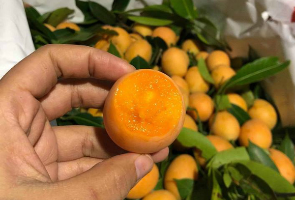 Kỳ lạ loại quả ăn vặt giá chát, chưa kịp về đã hết hàng-1