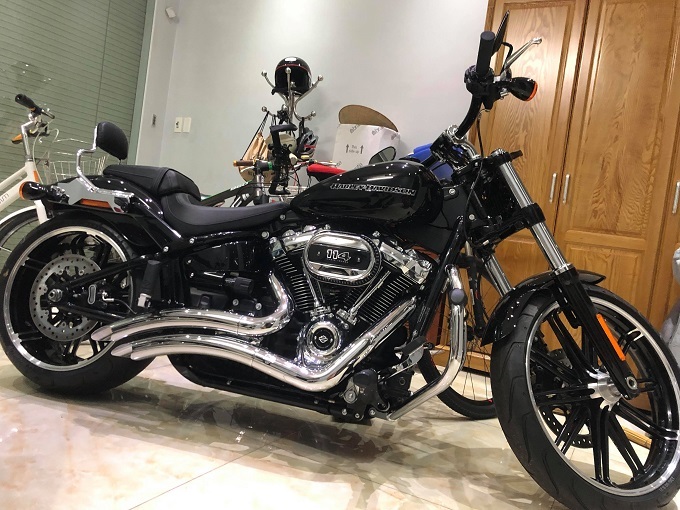 Nữ đại gia đất Cảng tặng chồng Harley-Davidson gần 1 tỷ-4