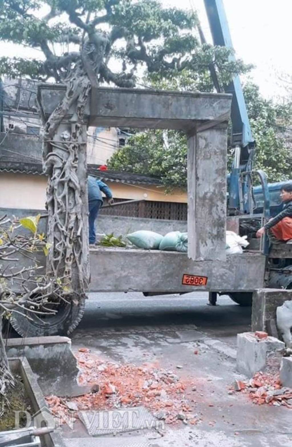 Xôn xao Nam Định: Cây sanh cổ bán kèm cổng nhà giá 6.000 USD?-3