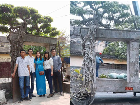 Chiêm ngưỡng vũ điệu công múa, hạc chầu” được đại gia mê mẩn trả giá hơn 2 tỷ đồng-9