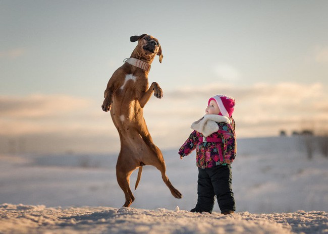 Bộ ảnh đẹp đến nao lòng của các bé chụp cùng thú cưng khổng lồ khiến ai nấy đều phải ngẩn ngơ, trầm trồ-3