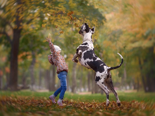 Bộ ảnh đẹp đến nao lòng của các bé chụp cùng thú cưng khổng lồ khiến ai nấy đều phải ngẩn ngơ, trầm trồ-6