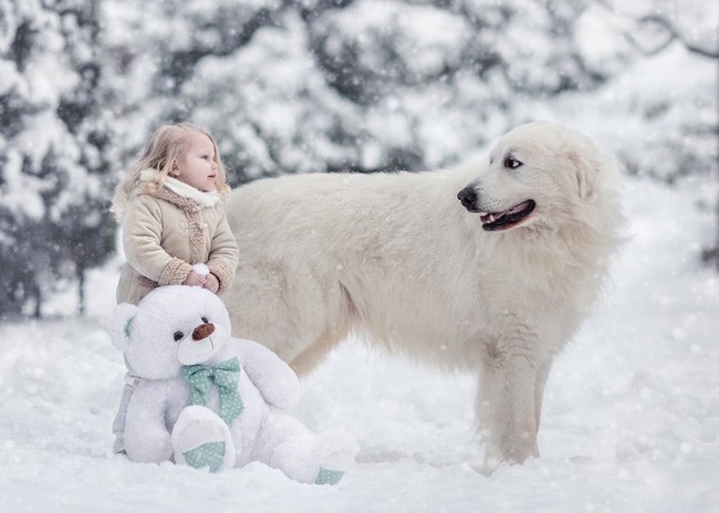Bộ ảnh đẹp đến nao lòng của các bé chụp cùng thú cưng khổng lồ khiến ai nấy đều phải ngẩn ngơ, trầm trồ-9