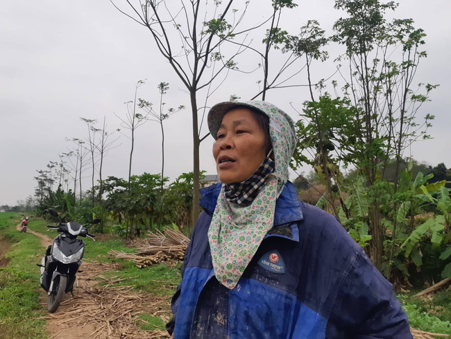 Vụ nữ tài xế taxi bị sát hại do mâu thuẫn tình cảm: Lời kể run rẩy của người chứng kiến-2