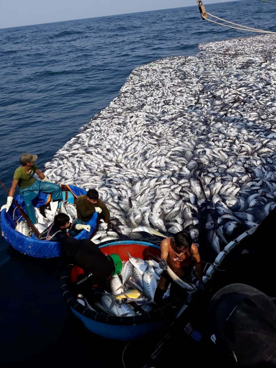 Trúng đậm chưa từng có: Chuyến đi xa đầu năm, thu về 7 tỷ-1