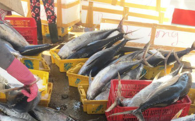 Trúng đậm chưa từng có: Chuyến đi xa đầu năm, thu về 7 tỷ-4