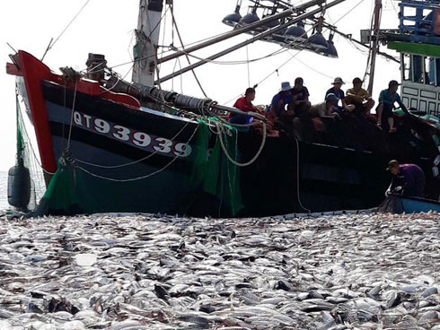 Qua 1 đêm: Chủ quán phở, xưởng đậu phụ... bỗng thành giám đốc-3