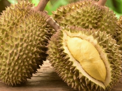 20 tác dụng chữa bệnh thần kỳ của loại lá đắng ngắt, 90% người Việt vứt bỏ-7