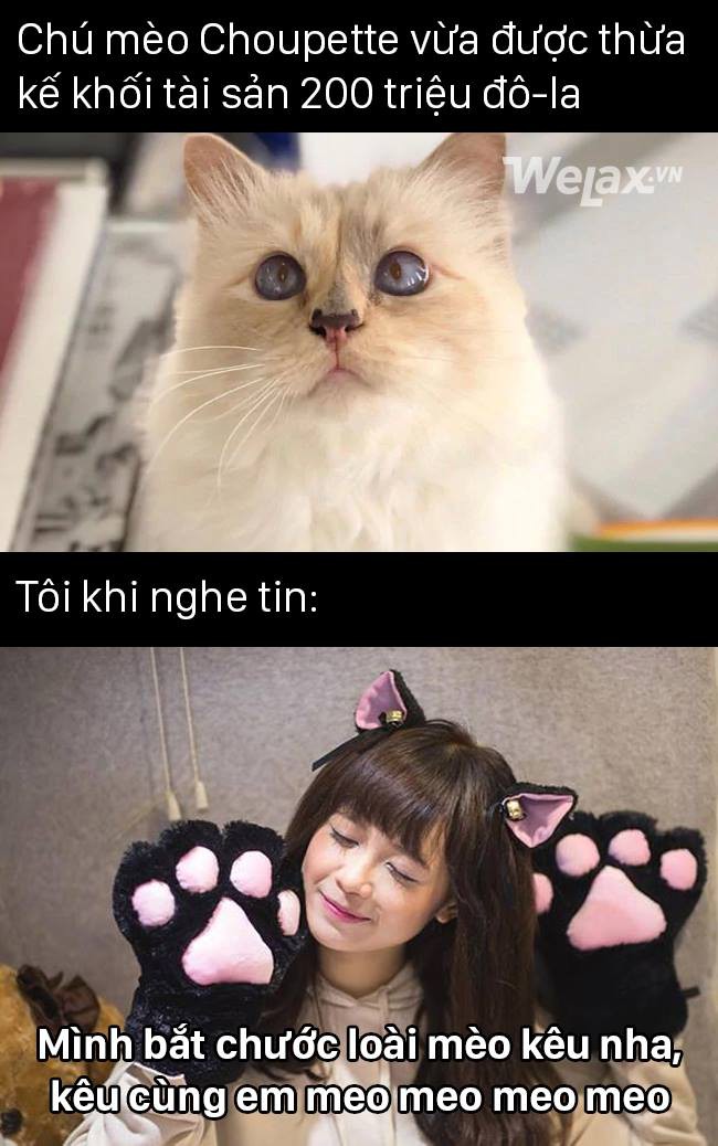 Hội không biết làm gì để có nhiều tiền cảm thấy chóng hết cả mặt với loạt phát ngôn về tiền bạc suốt 1 tuần qua-4