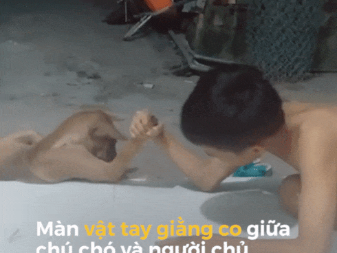 Màn vật tay bất phân thắng bại giữa người và chó cưng