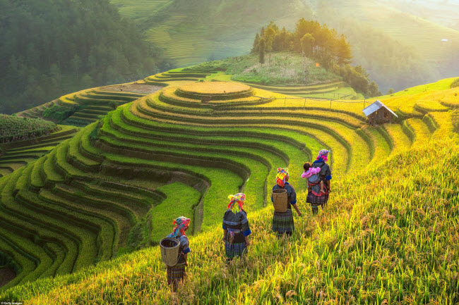 Hàng triệu người sững sờ sau khi báo Tây chia sẻ loạt ảnh Việt Nam đẹp mê hồn-5