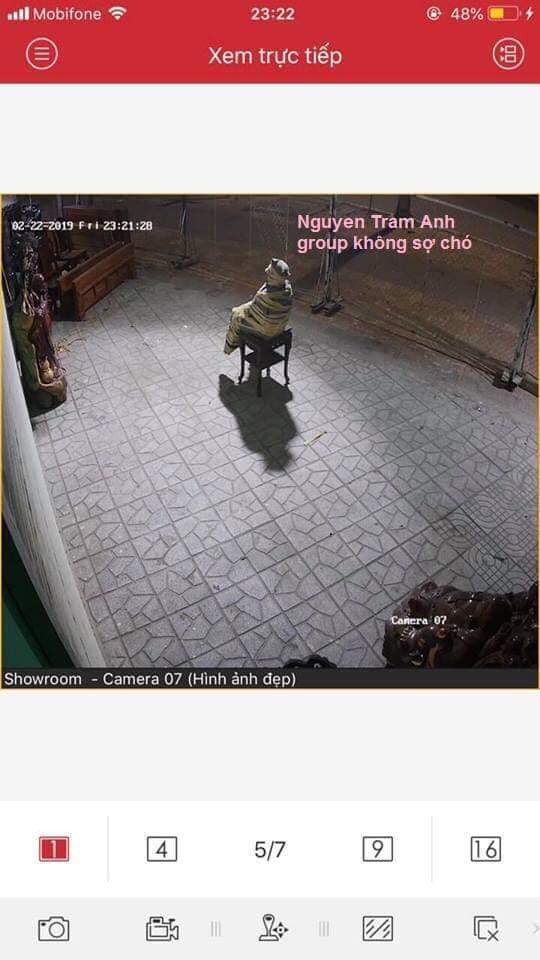 Người đàn ông ngồi trông showroom với dáng ngồi lạ, lỗ mũi của anh ta càng gây bất ngờ-5