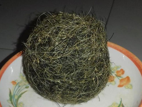 Dân phát hiện 3 vật thể lạ nghi cát lợn ở An Giang-3