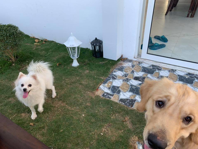 Cận cảnh căn biệt thự sang trọng, hoành tráng của Ngọc Anh và bạn trai kém tuổi-7