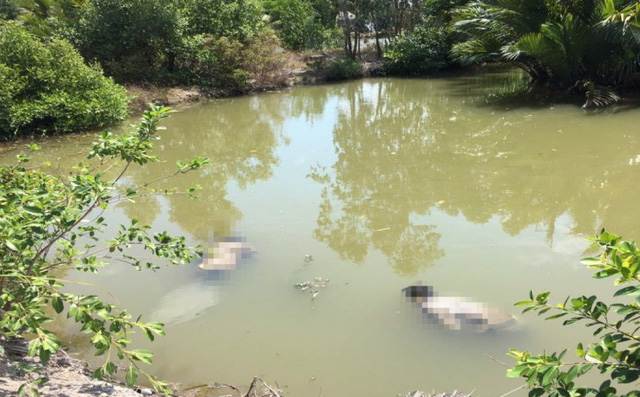 Phát hiện thi thể hai cha con dưới vuông tôm ở Cà Mau-1