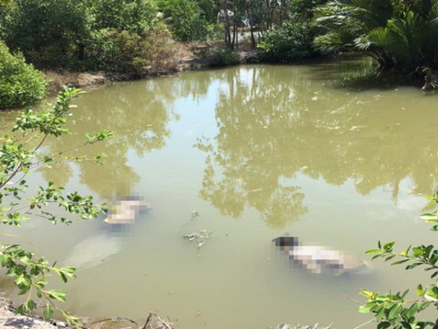 Khoảng 60 m đường trôi tuột xuống sông, dân hoảng loạn sơ tán khẩn cấp-5