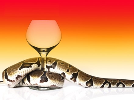 Con rắn trong ly rượu và câu chuyện về nỗi sợ hãi ai cũng nên đọc để biết cách vượt qua