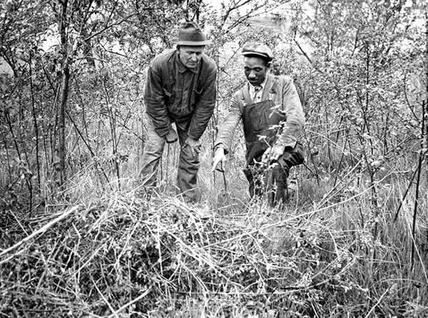 Vụ bắt cóc con phi công nổi tiếng làm chấn động cả nước Mỹ khiến Tổng thống cũng phải lưu tâm nhưng kết cục bi thảm không ngờ-7