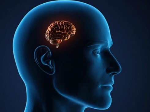 Người phụ nữ gây sốc khi chữa ung thư bằng cách ăn 5 con mọt sống mỗi ngày: Chuyên gia nói gì?-5