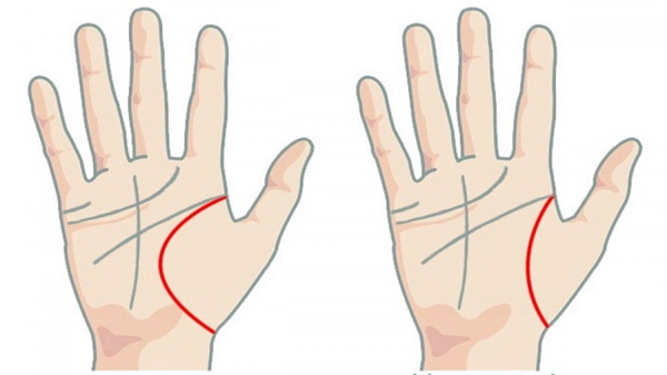 5 dấu hiệu tướng học chỉ xuất hiện ở bàn tay của người phụ nữ mệnh giàu số sướng, hôn nhân viên mãn-2