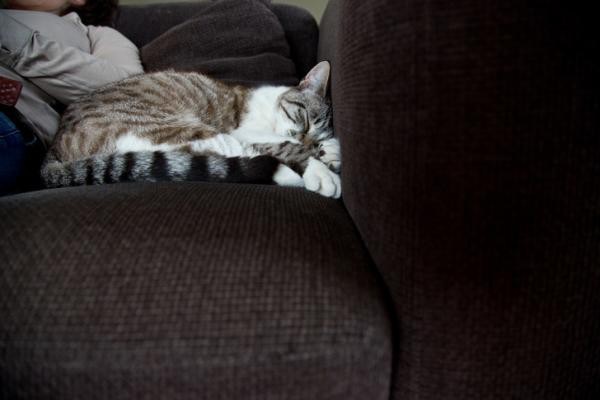 Tiền nhiều để làm gì? Câu trả lời đến từ sự chênh lệch giàu - nghèo của các hộ gia đình trên toàn thế giới-29