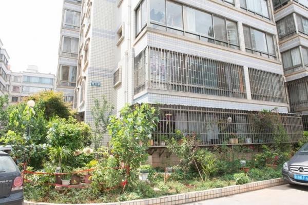 Tiền nhiều để làm gì? Câu trả lời đến từ sự chênh lệch giàu - nghèo của các hộ gia đình trên toàn thế giới-37