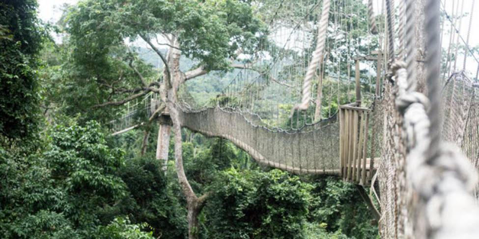 Việt Nam góp 2 đại diện trong top những cây cầu đáng sợ nhất thế giới-15