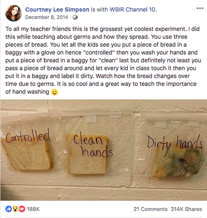 Phương pháp giáo dục 3 miếng bánh mỳ cô giáo Mỹ khiến mọi người nhận ra tác hại khủng khiếp của việc không rửa tay-3