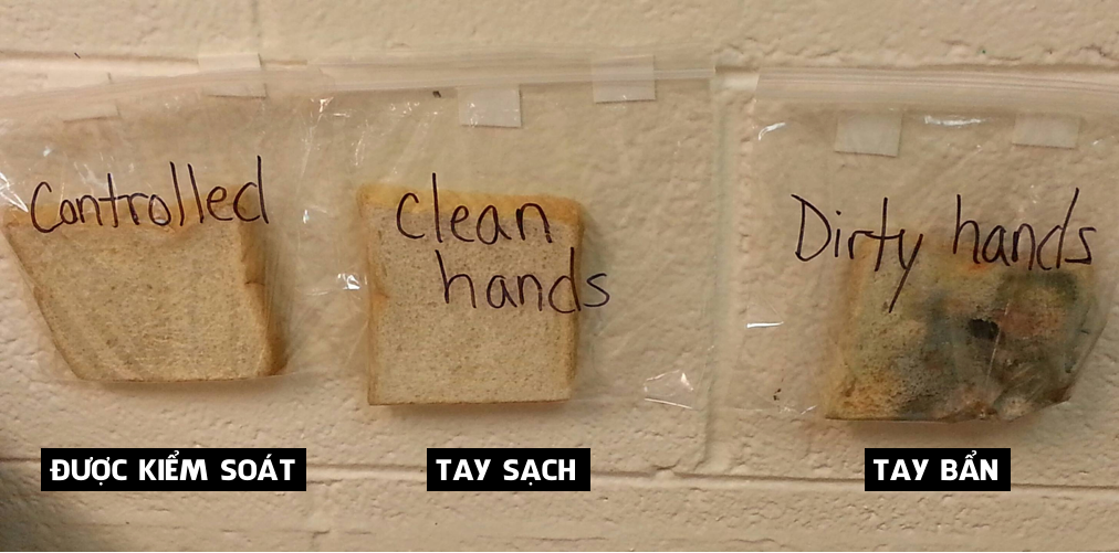 Phương pháp giáo dục 3 miếng bánh mỳ cô giáo Mỹ khiến mọi người nhận ra tác hại khủng khiếp của việc không rửa tay-1