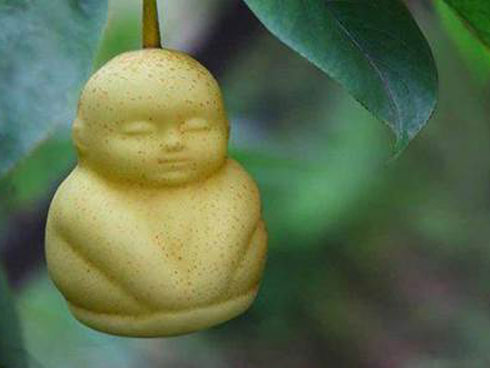 Những loại trái cây giá trên trời, gấp cả trăm lần quả vải thiều Shintomi 240.000 đồng/quả, có loại cả trăm triệu đồng-11