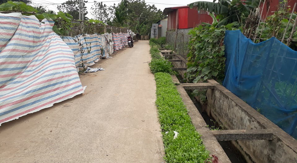 Vụ người phụ nữ đi tập thể dục bị giết, nhân chứng uống nước lạ tử vong: Trích xuất camera khoảnh khắc trước khi xảy ra sự việc-3