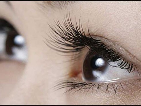 Hàng mi của bạn sẽ trông như mi nối nếu mỗi tối đều bôi loại