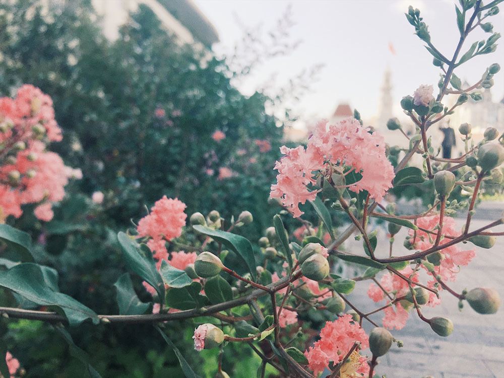 Bất ngờ được tặng 1 tỷ, người phụ nữ khóc cạn nước mắt-1