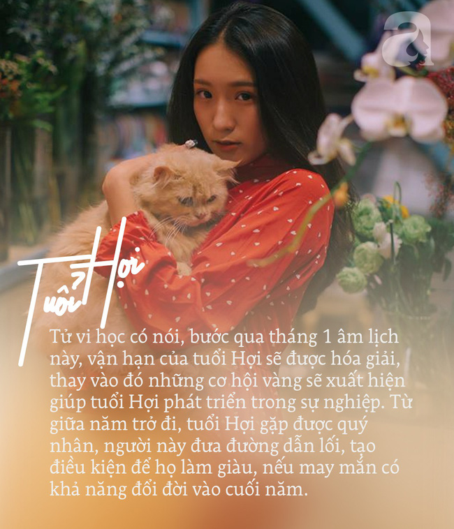 Hết tháng 1 âm lịch 3 con giáp này cũng hết vận hạn, từ giờ đến cuối năm sự nghiệp thăng hoa, tài vận dồi dào-2